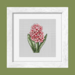 Patrón de punto de cruz – Jacinto Rosa